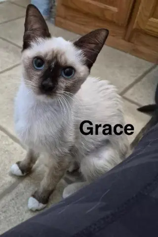 Grace