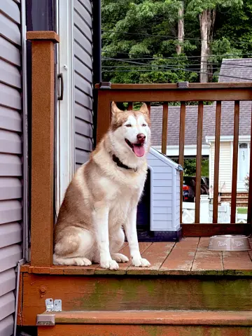 Skye