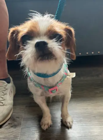 Matilda