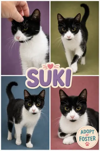 Suki