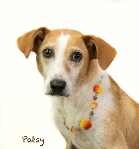 Patsy