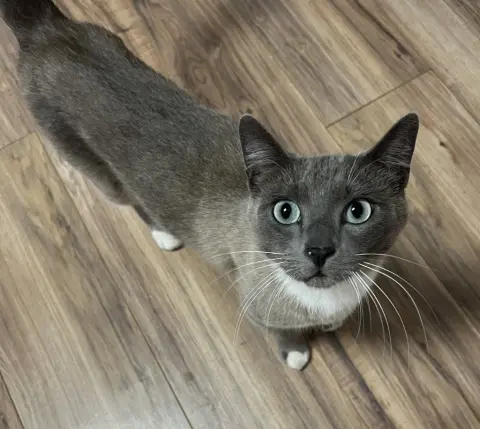 Nimbus