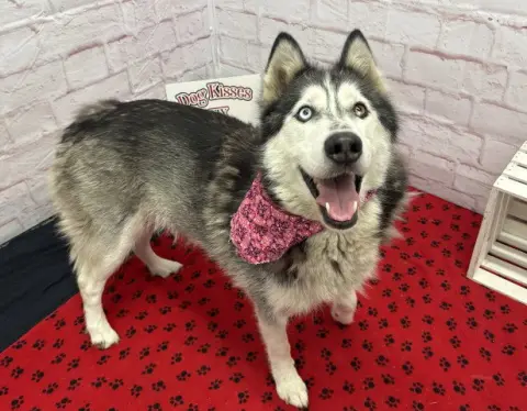 Luna