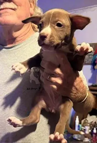 Fiona