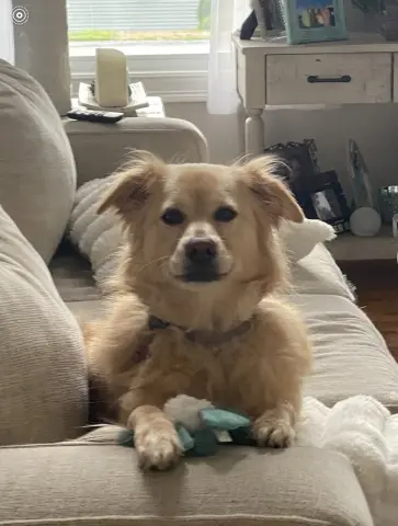 Marley