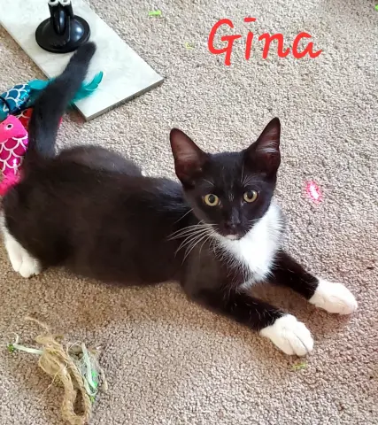 Gina