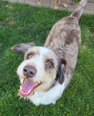 Max