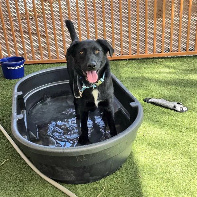 Max - Photo 1