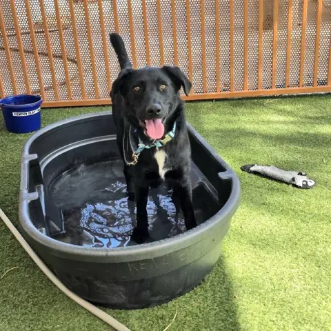 Max