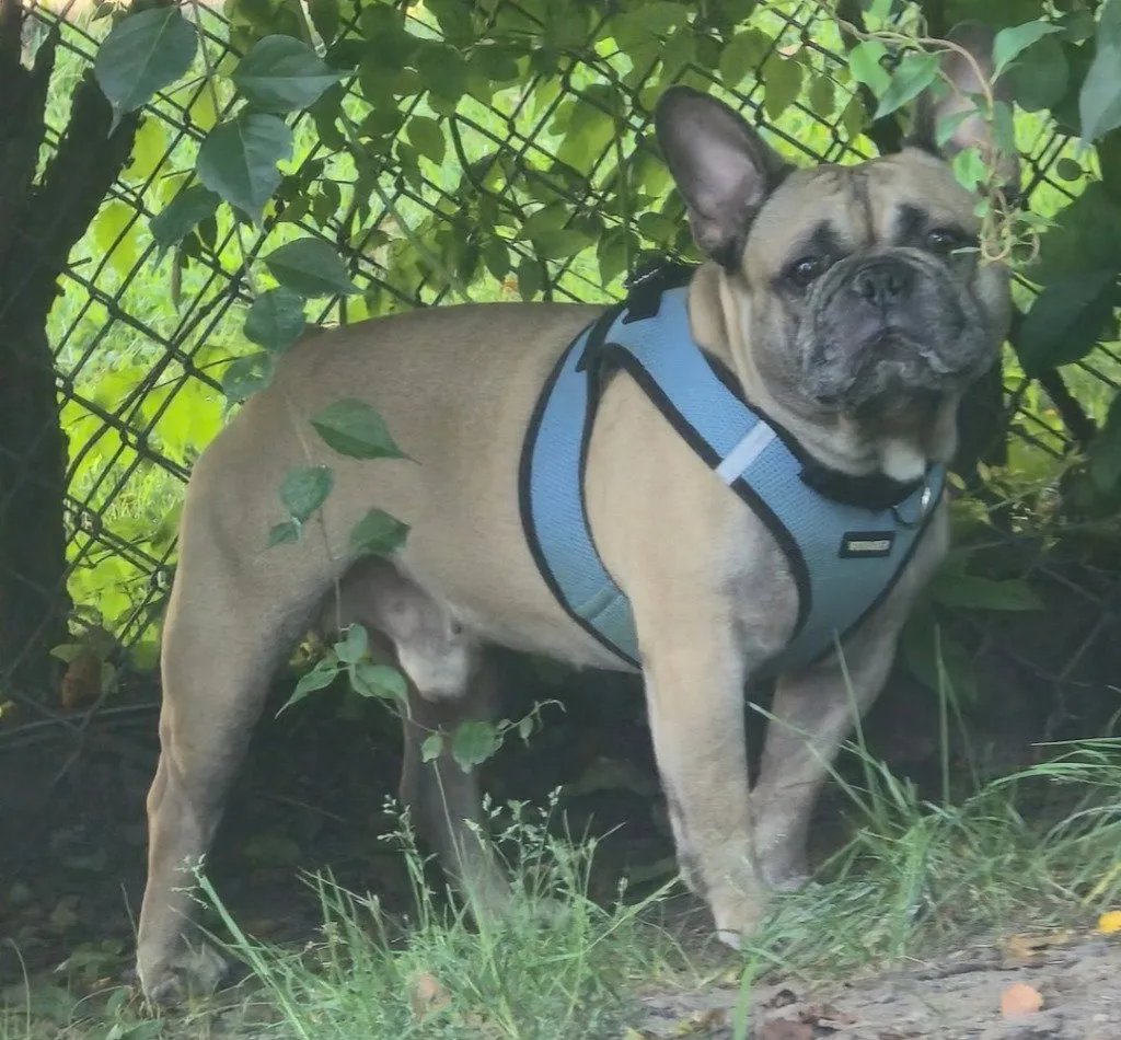 Diego - Photo 1