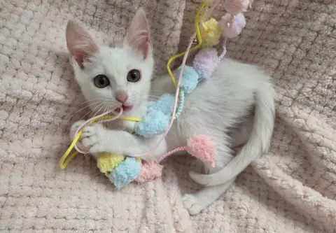 Rosalee