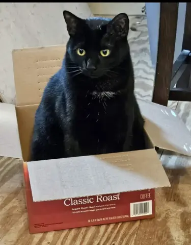 Oscar