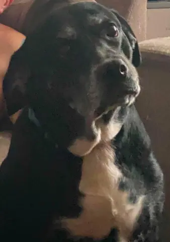 Zoey