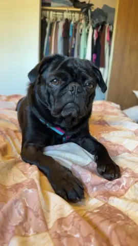Peggy