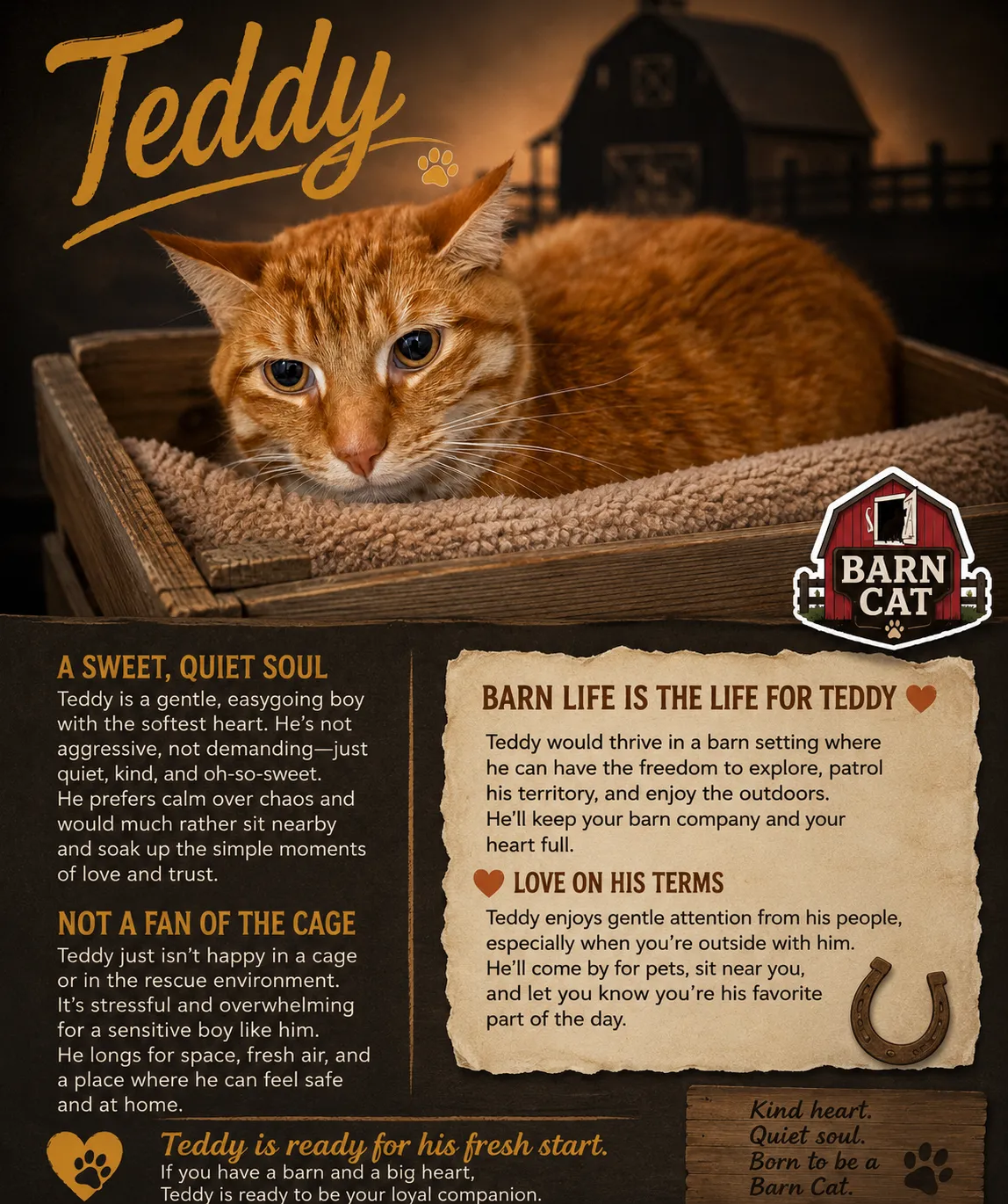 Teddy - Photo 1