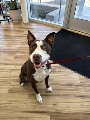 Luna