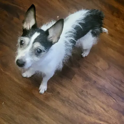 Minnie