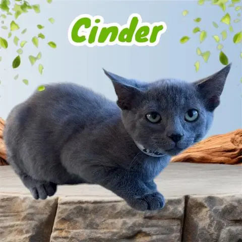 Cinder