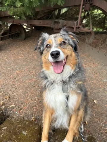 Skye