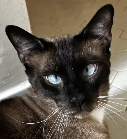Charlie