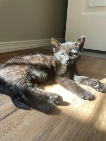 Charlie