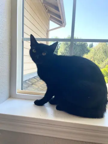 Lucy