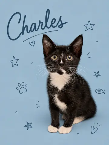 Charles