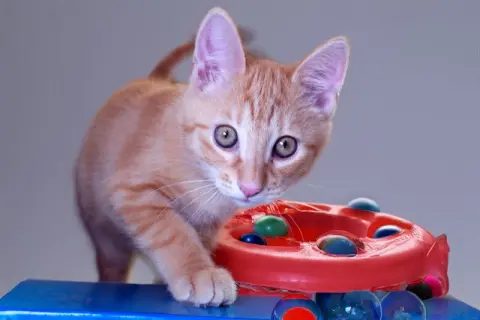 Opie