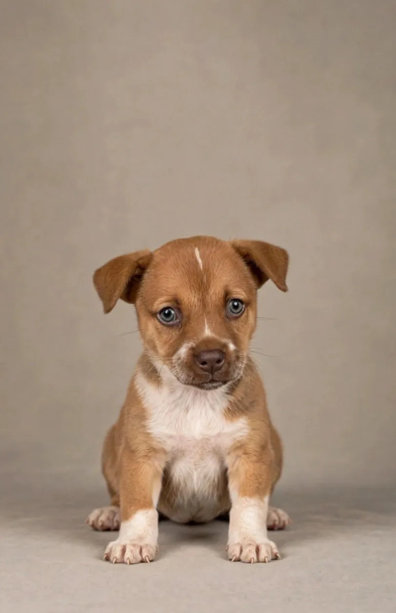 Jolene - Photo 1