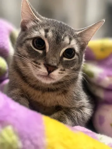 Birdie Mae