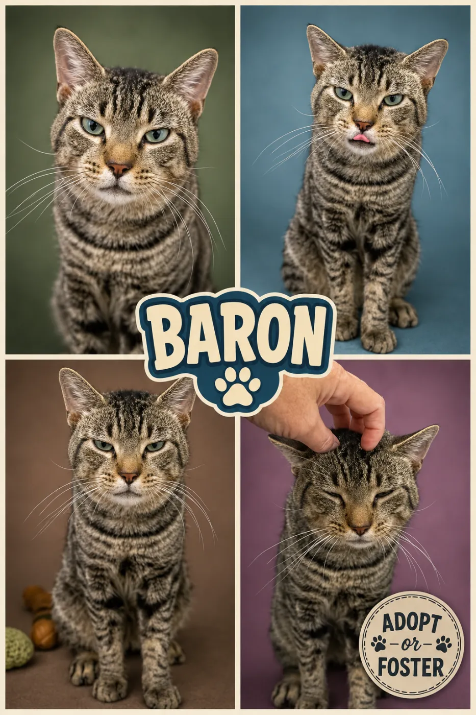 Baron - Photo 1