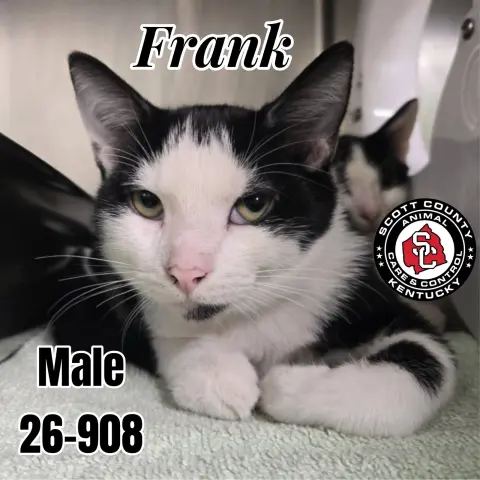 Frank