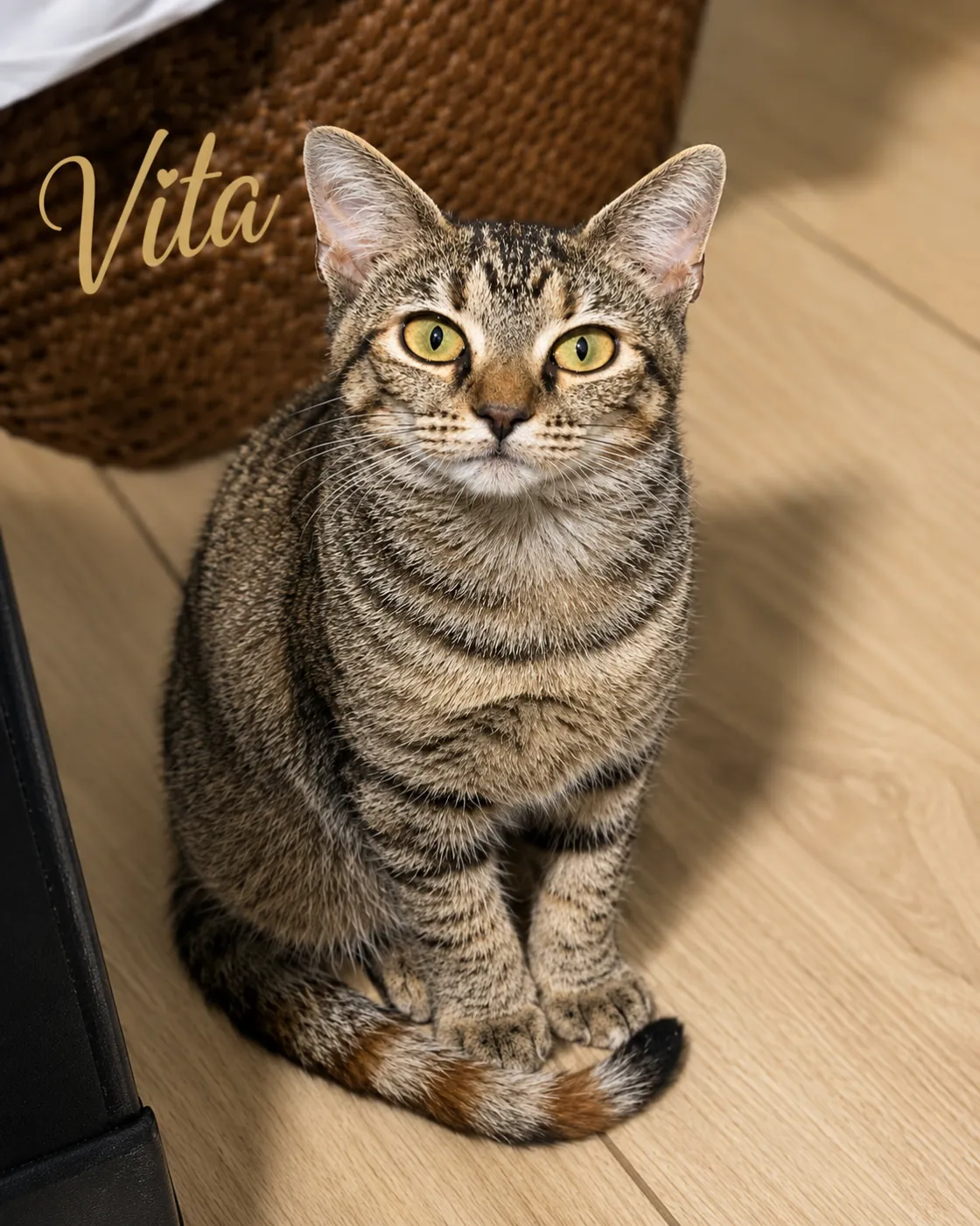 Vita - Photo 1