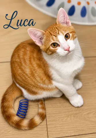 Matteo & Luca