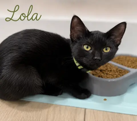 Lola