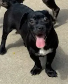 Velma