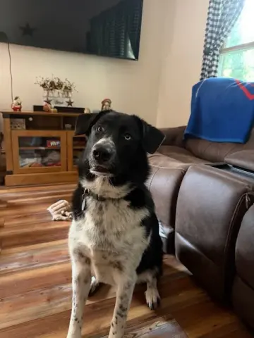 Ellie