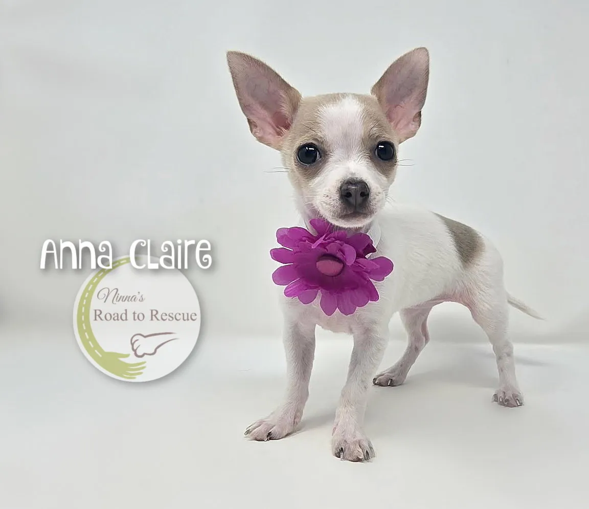 Anna Claire - Photo 1