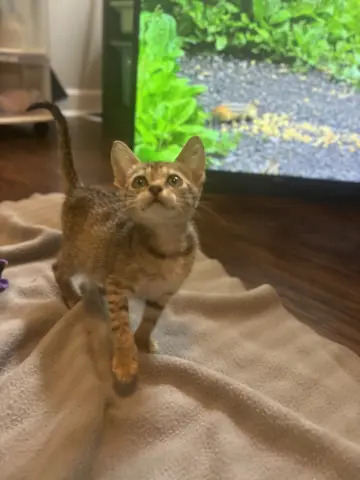 Louise
