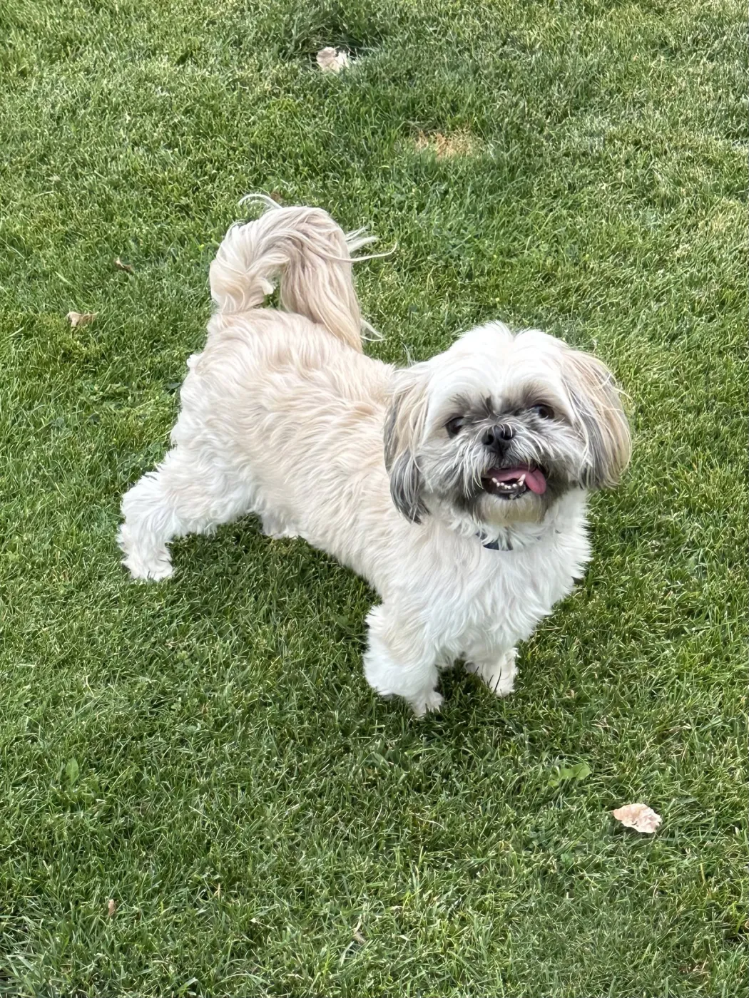 Coco - Photo 1