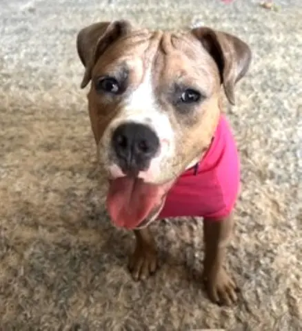 Winnie