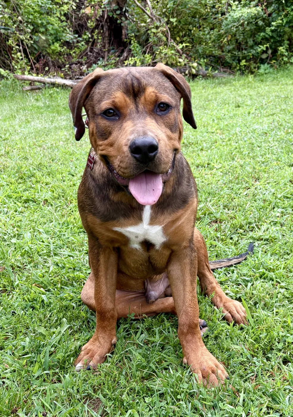 Sammy - Photo 1