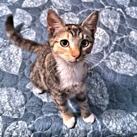 Trixie Lou