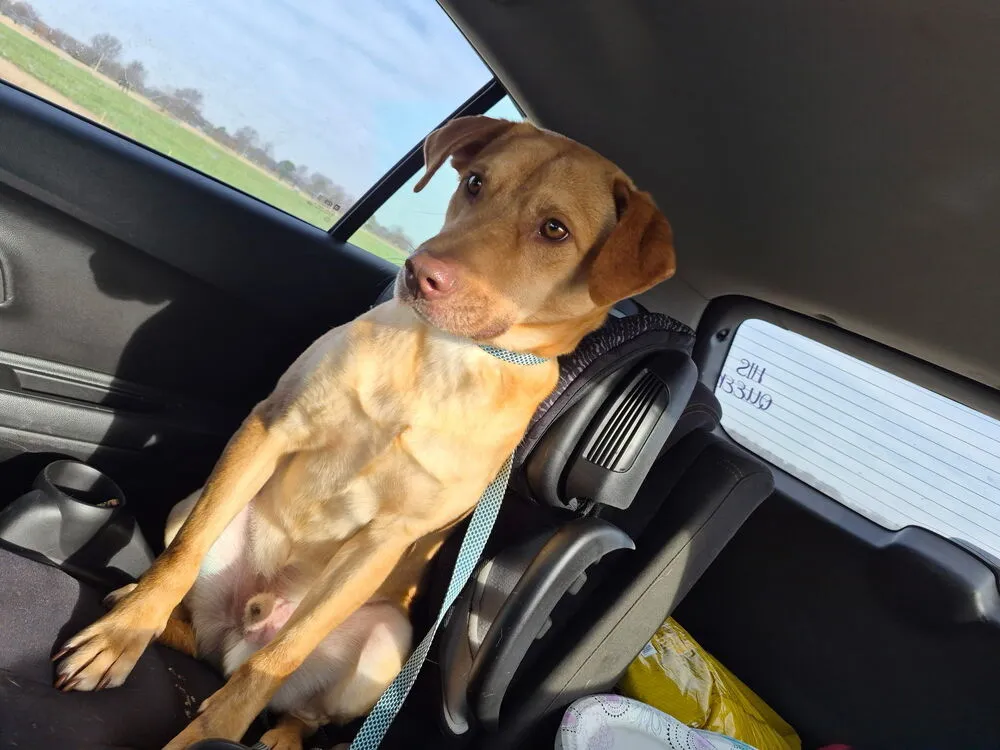 Van Jackson - Photo 2