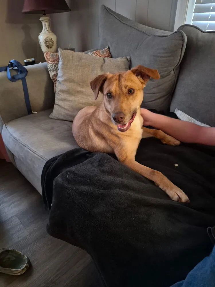 Van Jackson - Photo 4