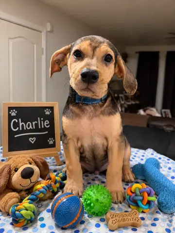 Charlie