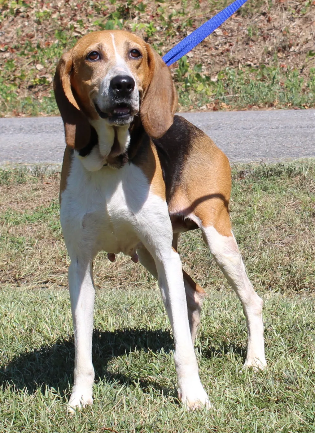 Ruby - Photo 1