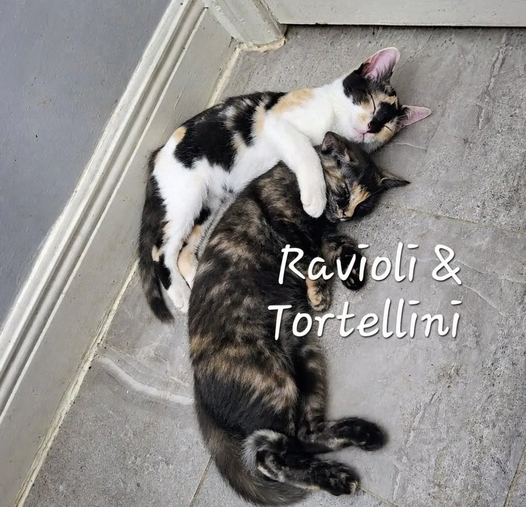 Tortellini & Ravioli - Photo 1