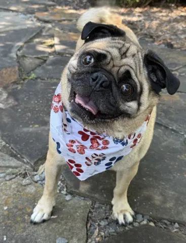 Franklin