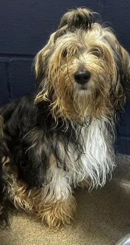Rupert